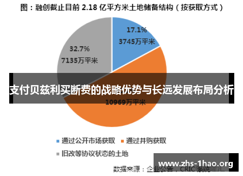 支付贝兹利买断费的战略优势与长远发展布局分析 支付贝兹利买断费的战略优势与长远发展布局分析