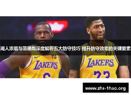 湖人浓眉与范德彪深度解析五大防守技巧 提升防守效率的关键要素