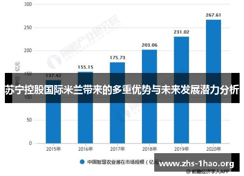 苏宁控股国际米兰带来的多重优势与未来发展潜力分析 苏宁控股国际米兰带来的多重优势与未来发展潜力分析