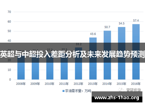 英超与中超投入差距分析及未来发展趋势预测 英超与中超投入差距分析及未来发展趋势预测