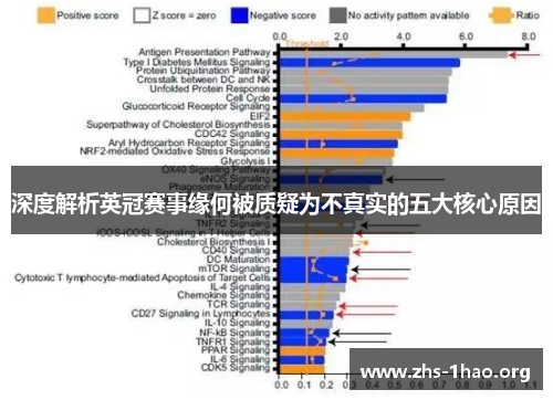 深度解析英冠赛事缘何被质疑为不真实的五大核心原因 深度解析英冠赛事缘何被质疑为不真实的五大核心原因